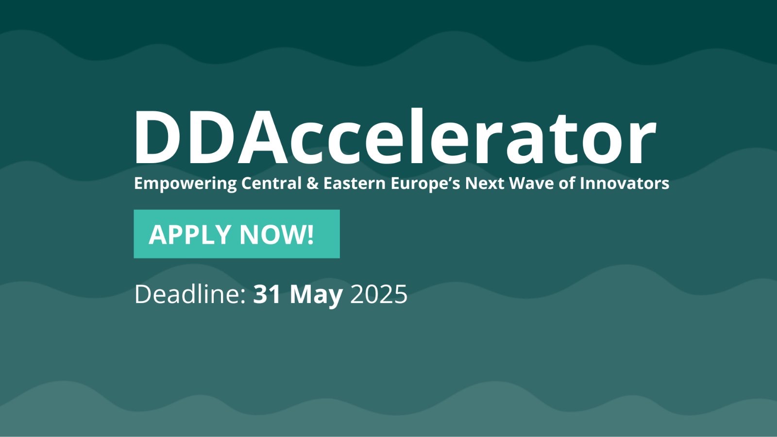 DDAccelerator